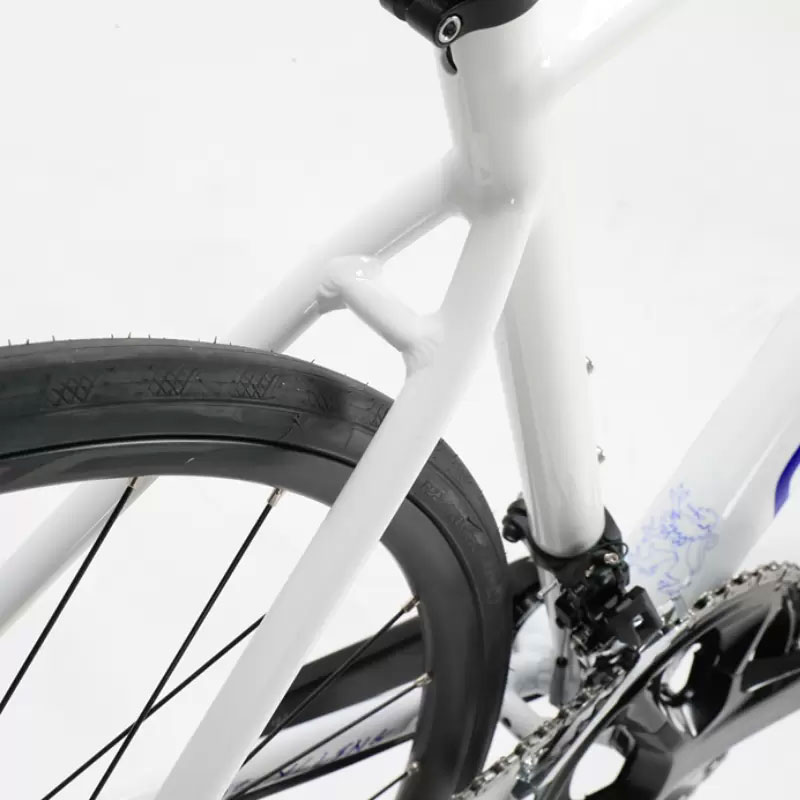 26 DOLOMITI DISC(ROAD)｜corratec｜GLOBERIDE