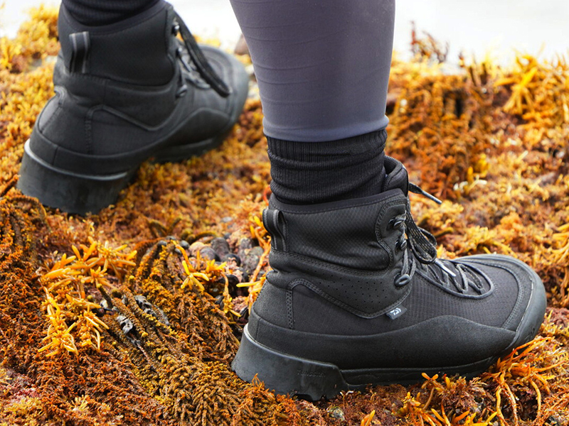 ダイワ9本 Amazon.co.jp: ダイワ(DAIWA) PEライン UVF紅牙デュラセンサーX8