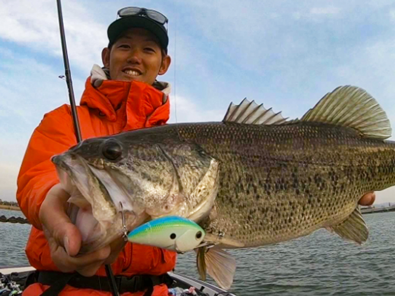 スティーズクランク(ルアー)｜DAIWA