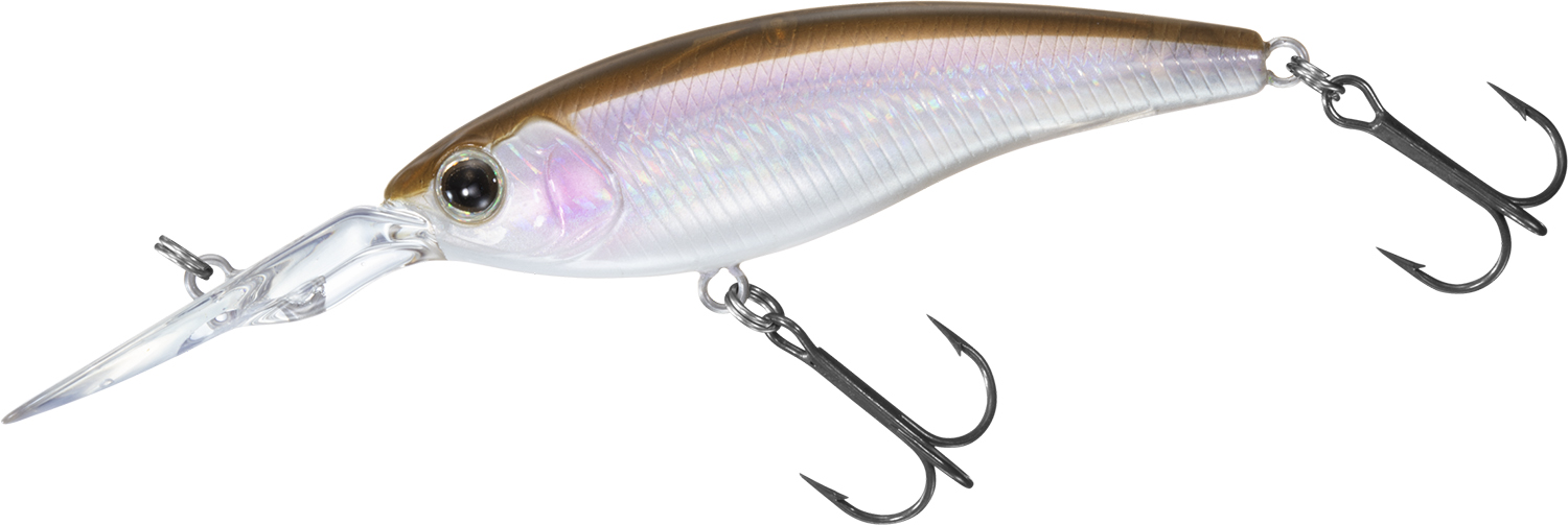 ダイワ スティーズ ルアー セット スティーズスクエア(ルアー)｜DAIWA