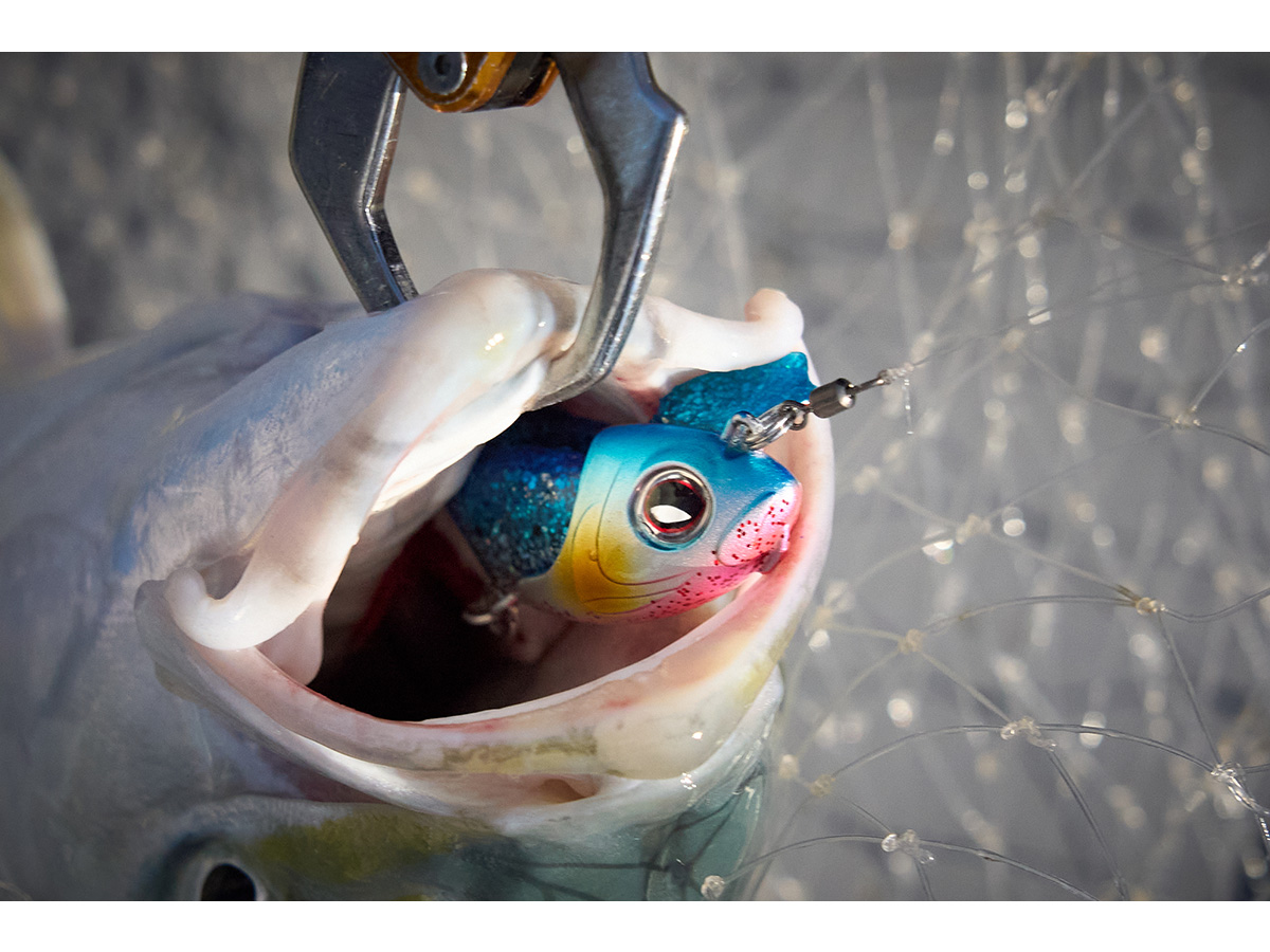 リッキー商品 リッキーシャッド(ルアー)｜DAIWA