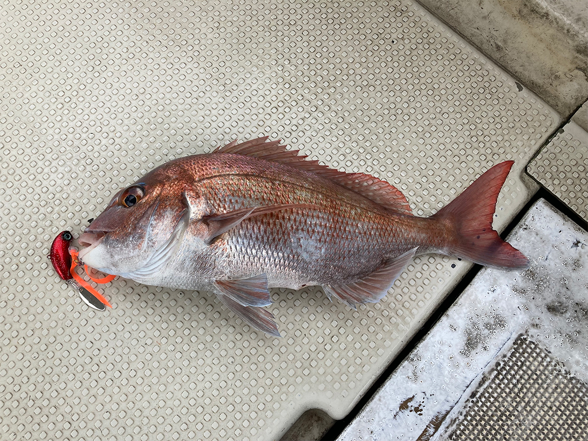 ✨紅牙✨ブレードブレイカー✨TG玉神✨120g5個セット✨未使用❕早い者勝ち✨ ダイワ 紅牙 ブレードブレイカー TG 玉神 45g PH紅牙レッド