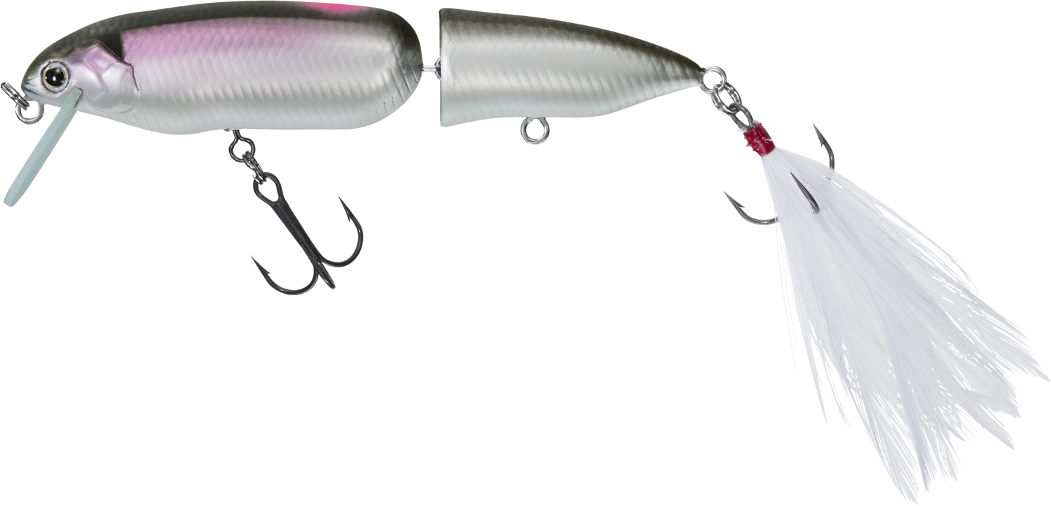 スティーズ　クランポ81F 4色セット Amazon.co.jp: ダイワ(DAIWA) ルアー STEEZクランポ81F テスト