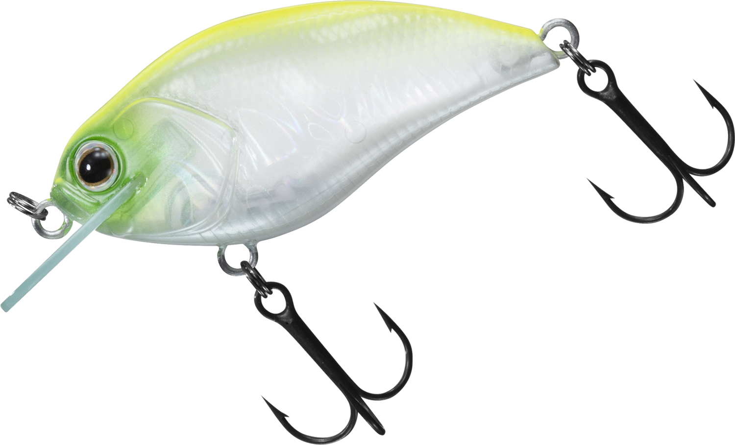 DAIWA STEZZ ソフトルアー リューギ　スティーズ DAIWA STEZZ ソフトルアー リューギ スティーズ つり具の上州屋