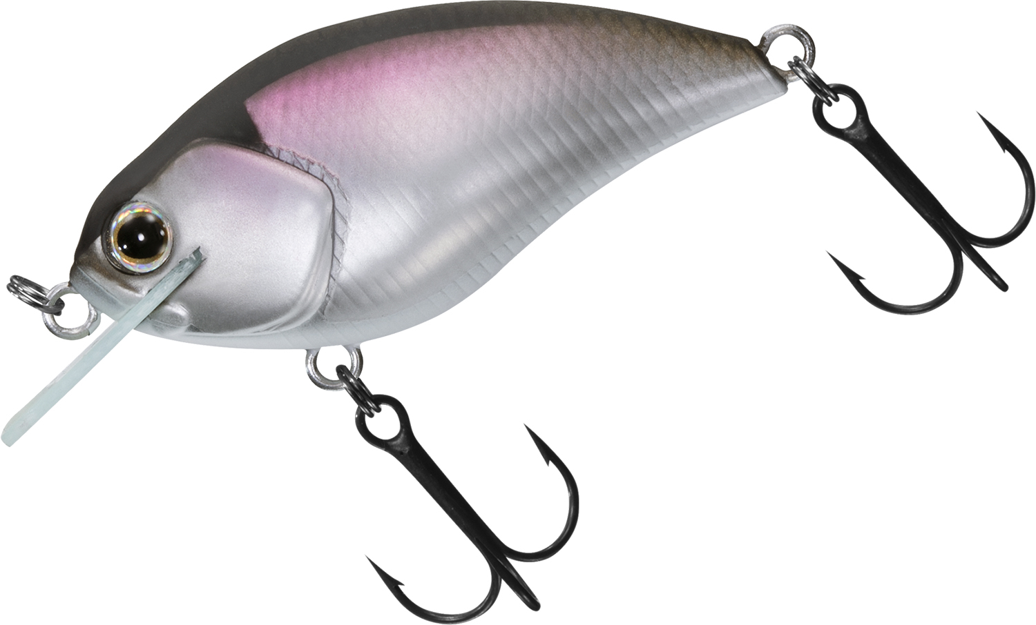 DAIWA -  STEEZ(スティーズ) 100SH 楽天市場】ダイワスティーズ100shの通販