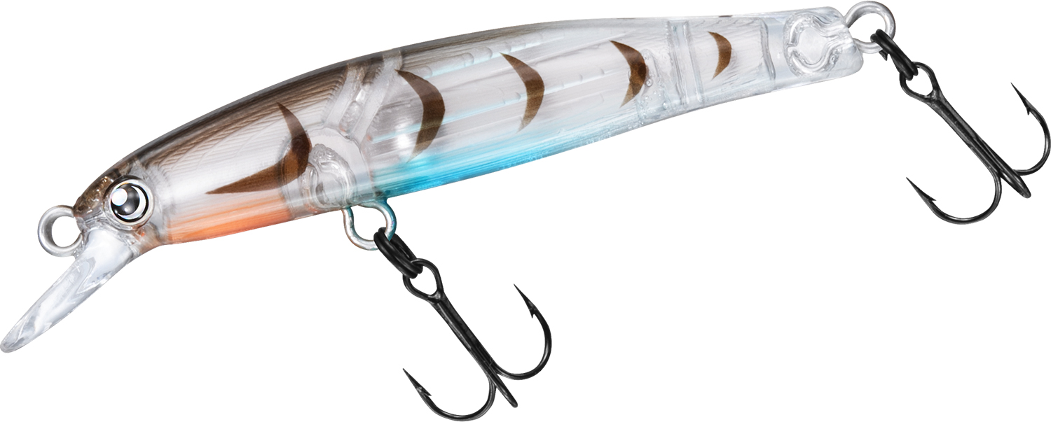 月下美人　メイホウ　セット Amazon.co.jp: ダイワ(DAIWA) 月下美人 アジング澪示威 SOLID