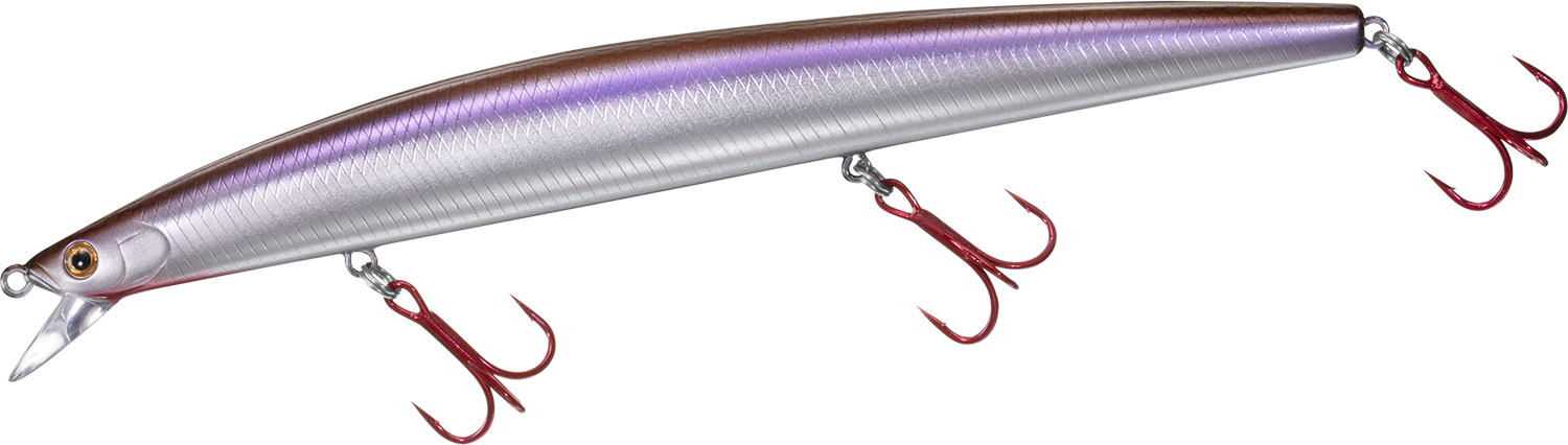 新製品及び更新情報｜DAIWA(ダイワ)
