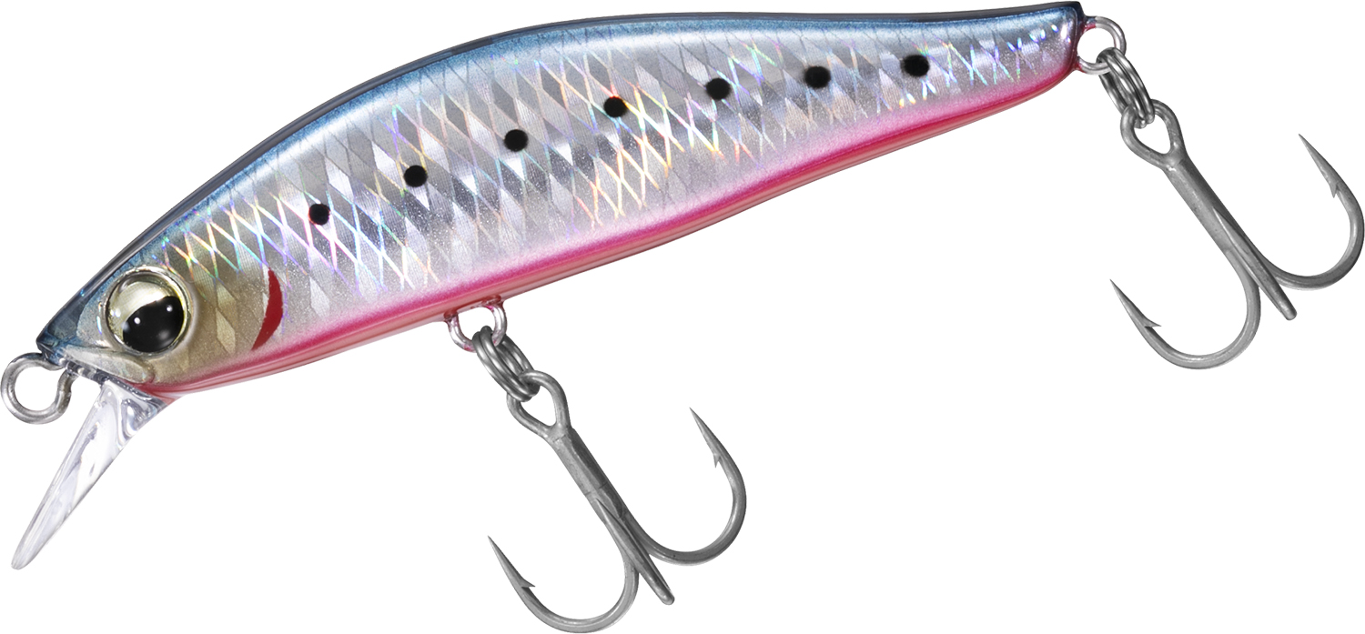 CAMAS_HUNTER_55S_DH_IWASHI_RED