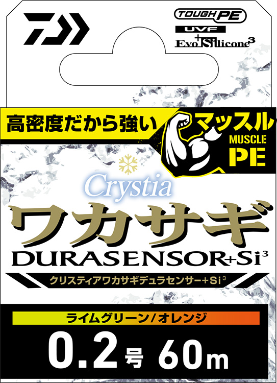 ウィリンキーワイルド、Dparisとペガサス　計3点 P. willinckii 謎ビ うちの温室で胞子が舞い生まれた謎