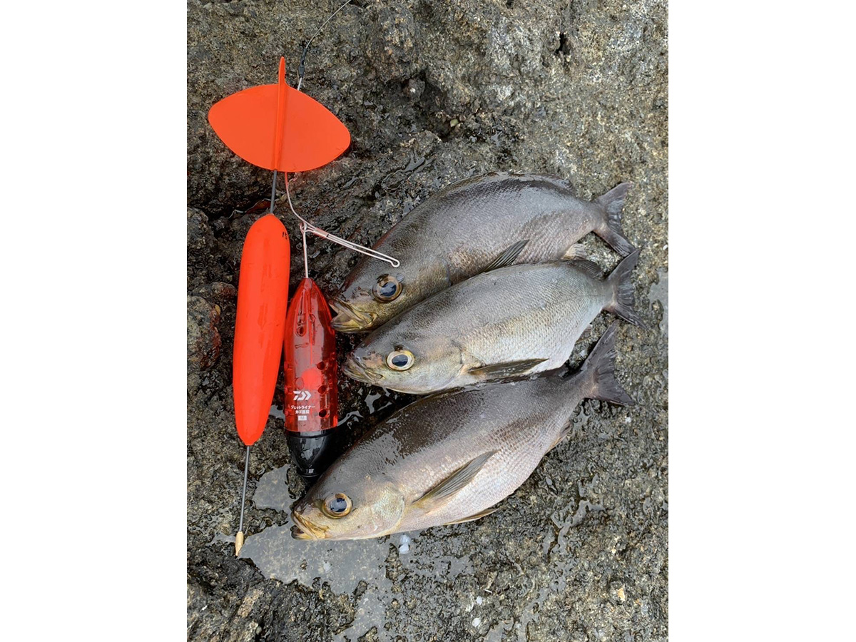 ダイワ　ジェットライン7' ジェットライナー EVA(用品)｜DAIWA