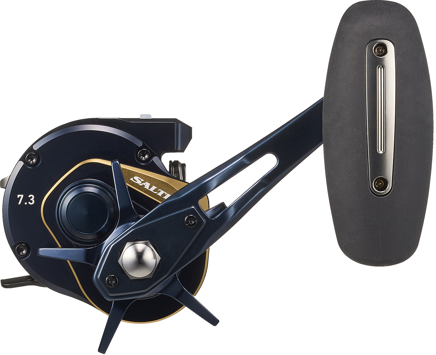 SALTIGA IC 300 リール ソルティガ IC 300-C(リール)｜DAIWA