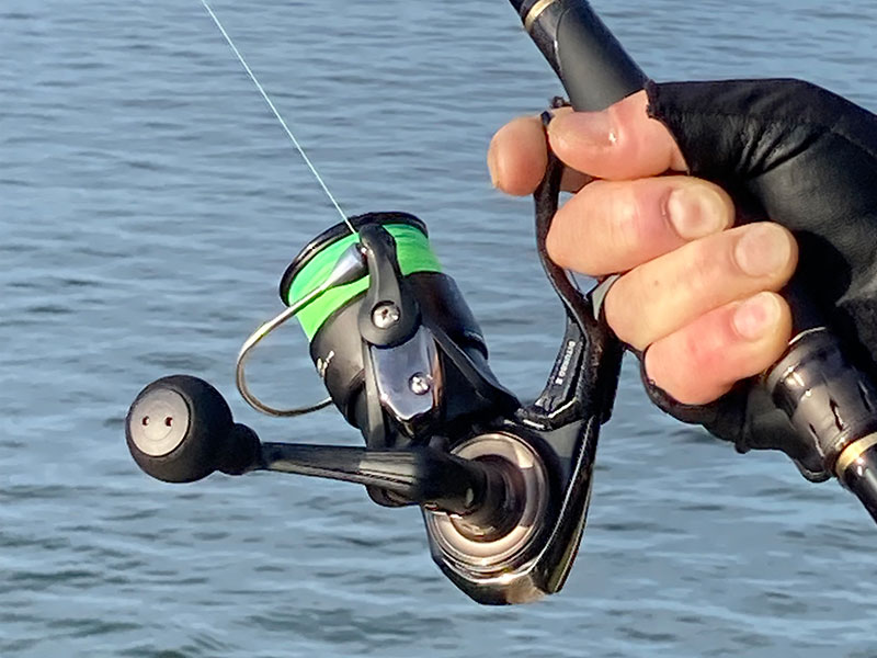 Daiwa 06 銀狼リール カスタム Daiwa 06 銀狼リール カスタム ダイワ】06銀狼 LBD［GINRO LBD