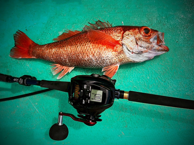 レオブリッツ S300J(リール)｜DAIWA