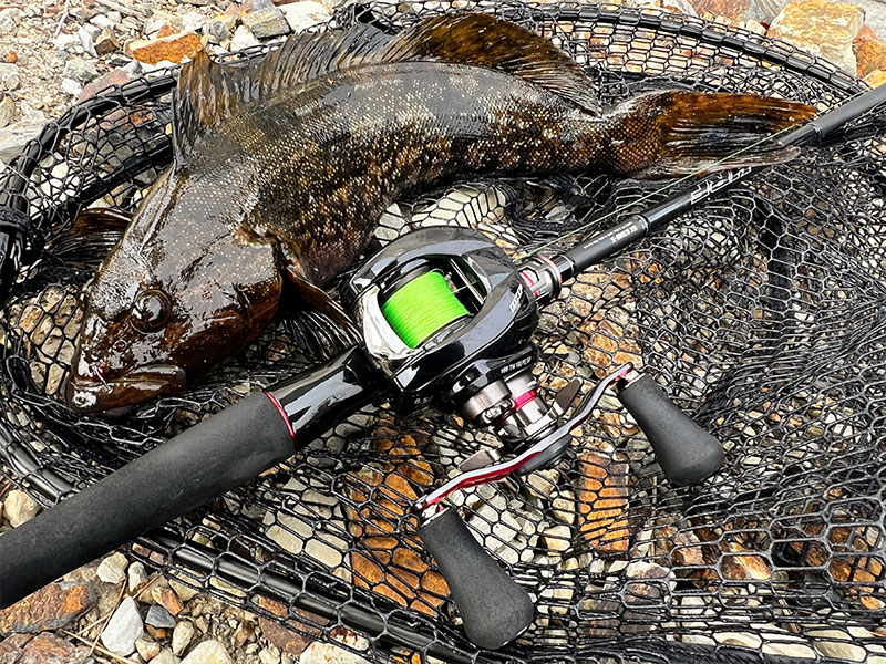 HRF TW PE SP(リール)｜DAIWA