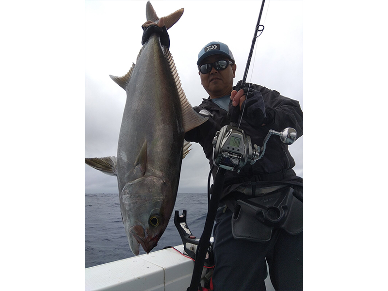 シーボーグ 500J(リール)｜DAIWA