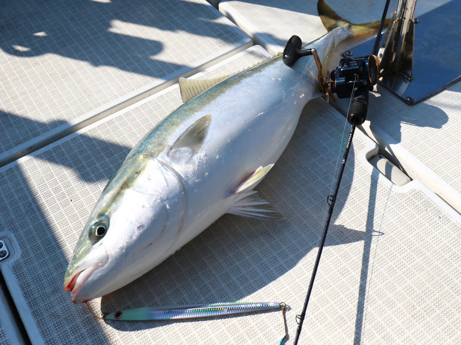 ロッド DAIWA SJ110H ソルティガ SJ(ロッド)｜DAIWA