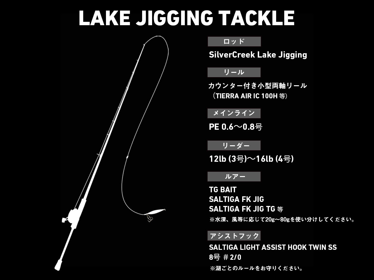 シルバークリーク レイクジギング(ロッド)｜DAIWA