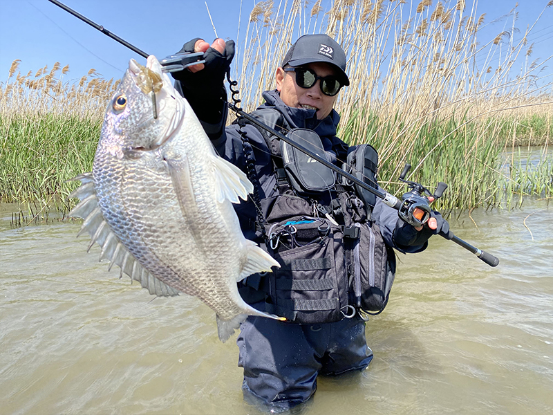 Daiwa シルバーウルフ73ML CHININGロッド シルバーウルフ(ロッド)｜DAIWA