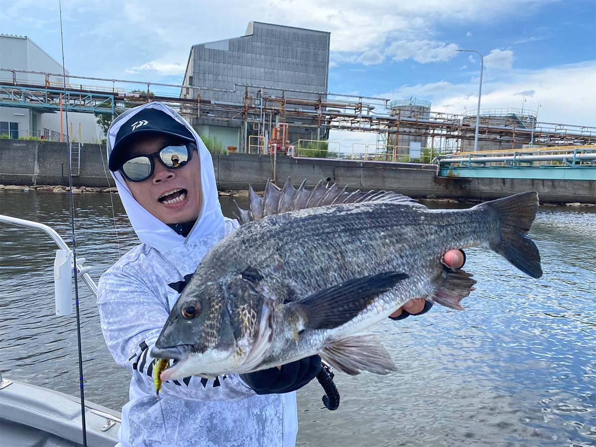 ダイワ(DAIWA) チニングロッド シルバーウルフ 73ML Amazon | ダイワ(DAIWA) SILVERWOLF(シルバーウルフ) 73LML-S・W