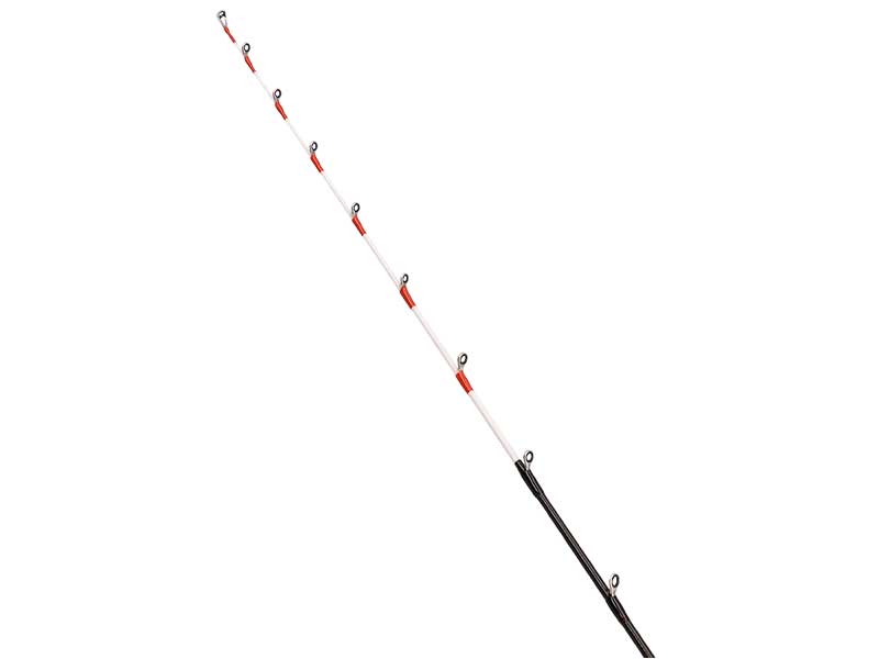 ダイワアナリスター　ライトアジ DAIWA（釣り） ダイワ 船竿 24 アナリスター ライトアジ 170