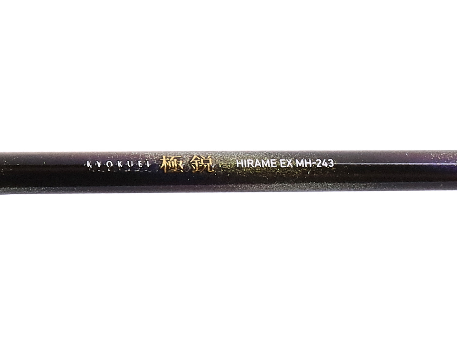 極鋭ヒラメ300 極鋭ヒラメ EX(ロッド)｜DAIWA