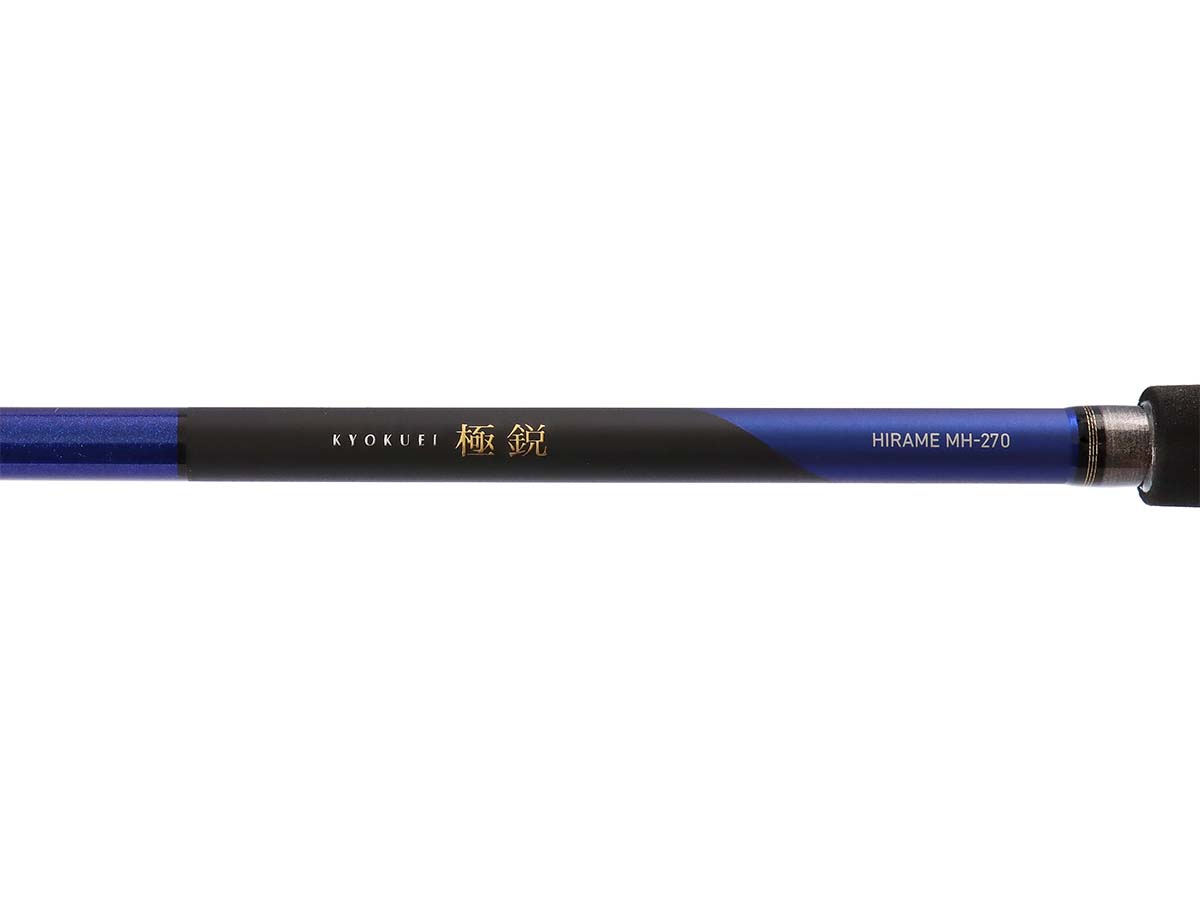 極鋭 ヒラメ(ロッド)｜DAIWA