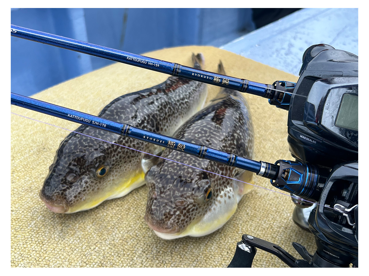 ANALYSTAR カットウフグ HH-150 DAIWA（釣り） ダイワ 船竿 カットウフグX HH-150・R : 釣具の