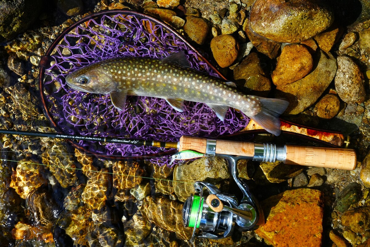 シルバークリーク トラッド(ロッド)｜DAIWA