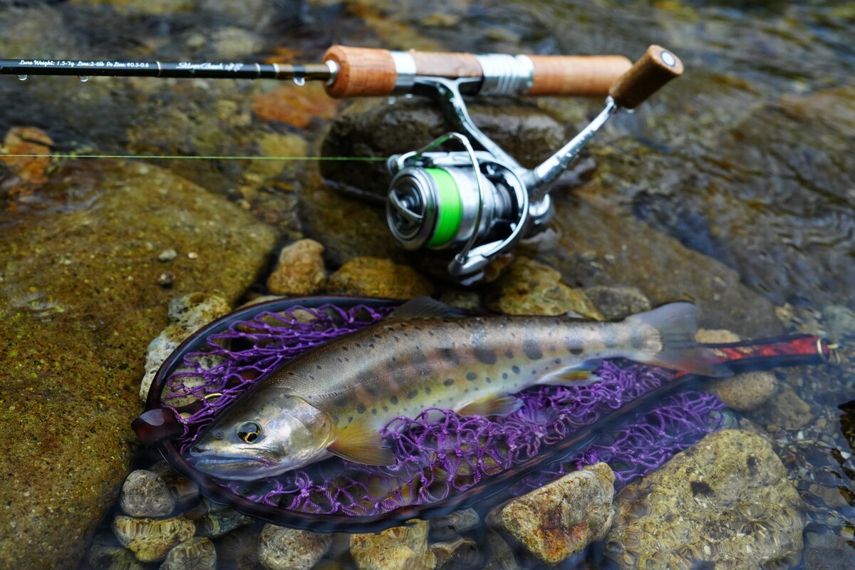 ダイワ DAIWA ロッド ウエダ フリマアプリ Bランク 中古品 Daiwa