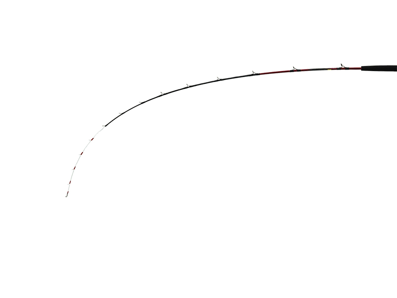 【本日タイムセール】ダイワ　アナリスターネライM210 ダイワ アナリスターネライ M-210 24年モデル - 釣具のポイント
