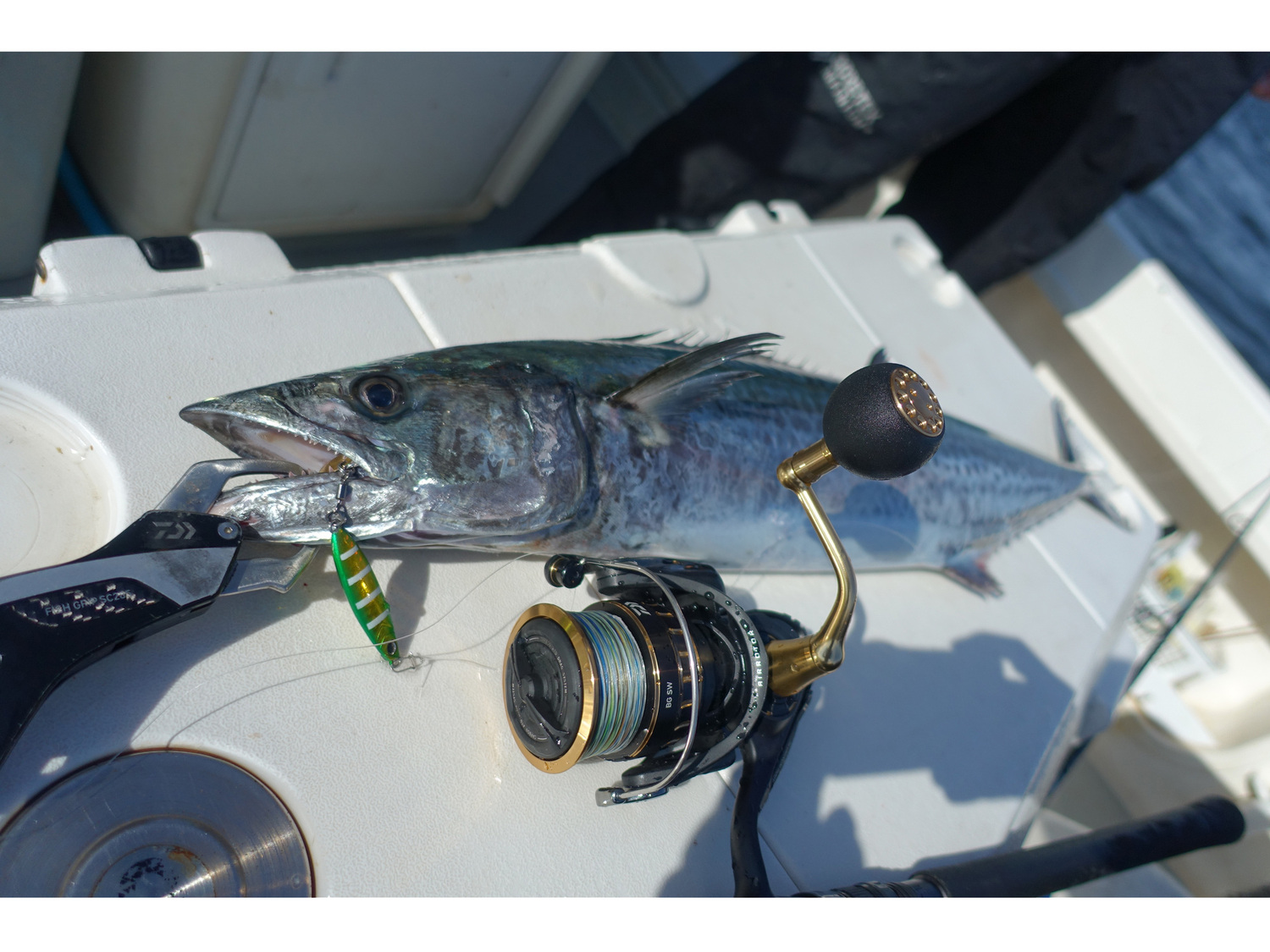 ソルティガ LC(ロッド)｜DAIWA