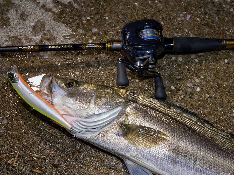 モアザン　ブランジーノ EX AGS 80HB ベイト用 ダイワ モアザン ブランジーノ EX AGS ベイトモデル 80HB 24年