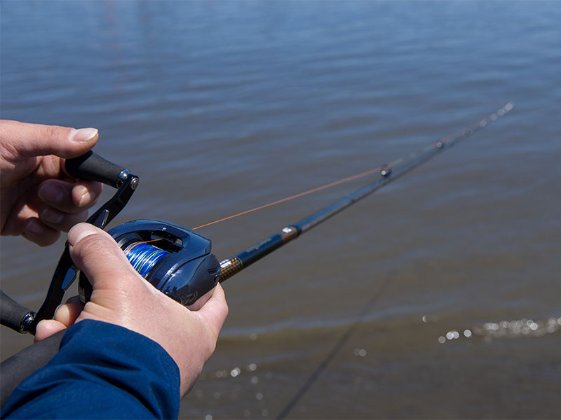 モアザン ブランジーノ EX AGS ベイトモデル (ロッド)｜DAIWA