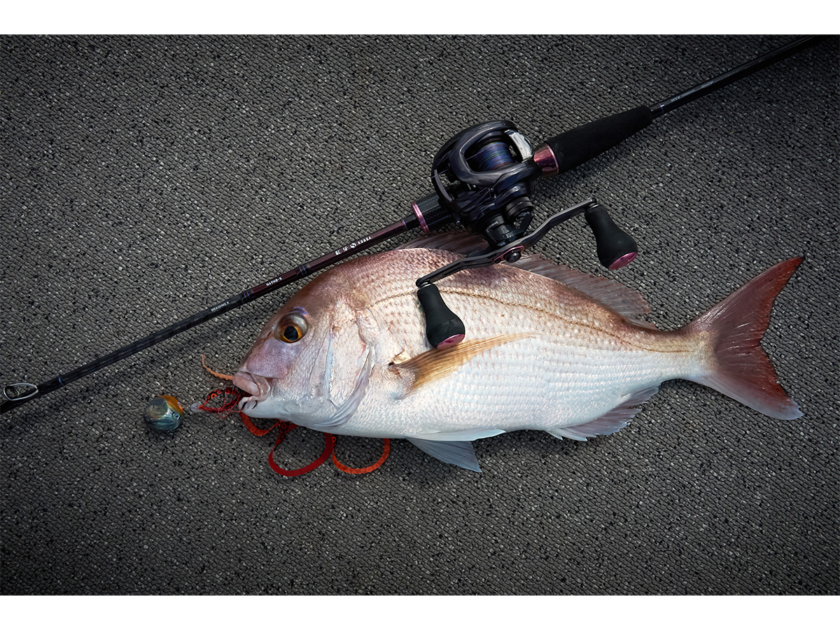 紅牙(ロッド)｜DAIWA