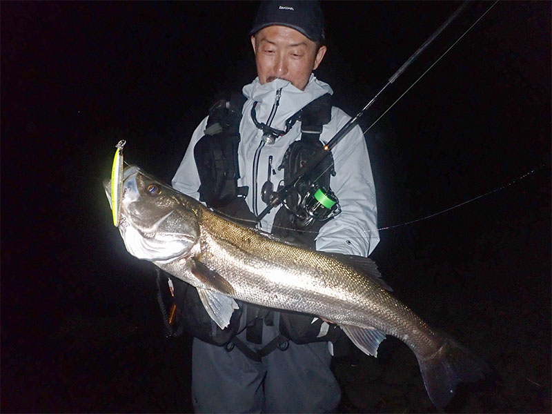 ラテオ(ロッド)｜DAIWA