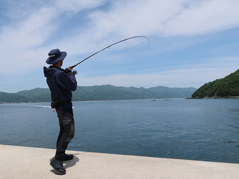 ラテオ(ロッド)｜DAIWA