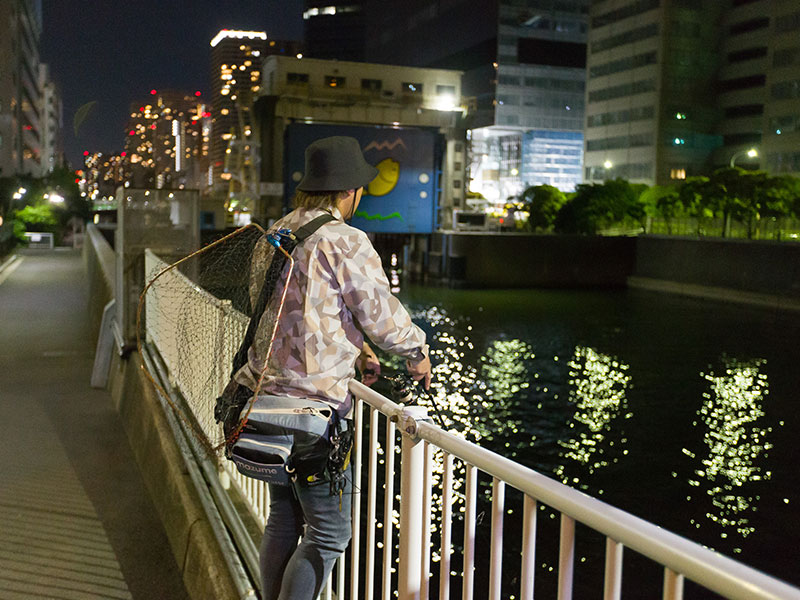 ラテオ(ロッド)｜DAIWA