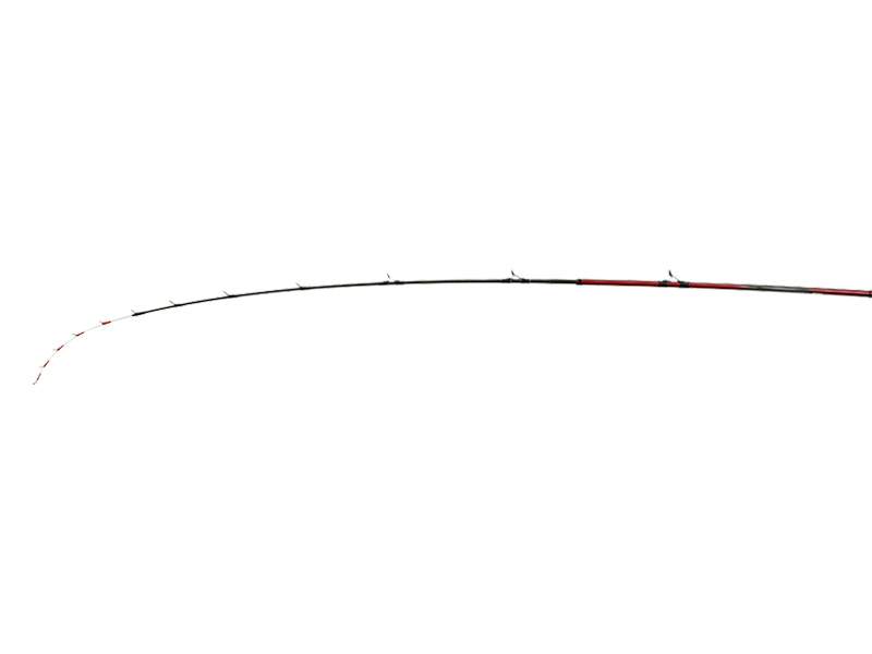 アナリスター　タチウオテンヤ　DAIWA ダイワ アナリスター タチウオテンヤ 91-180・R (ロッド・釣竿