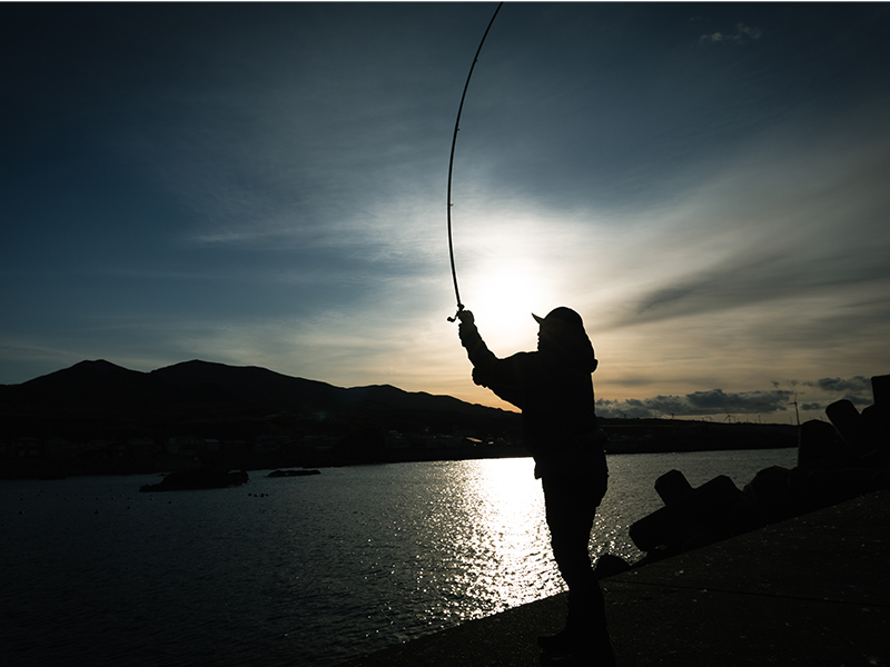 HRF SX(ロッド)｜DAIWA