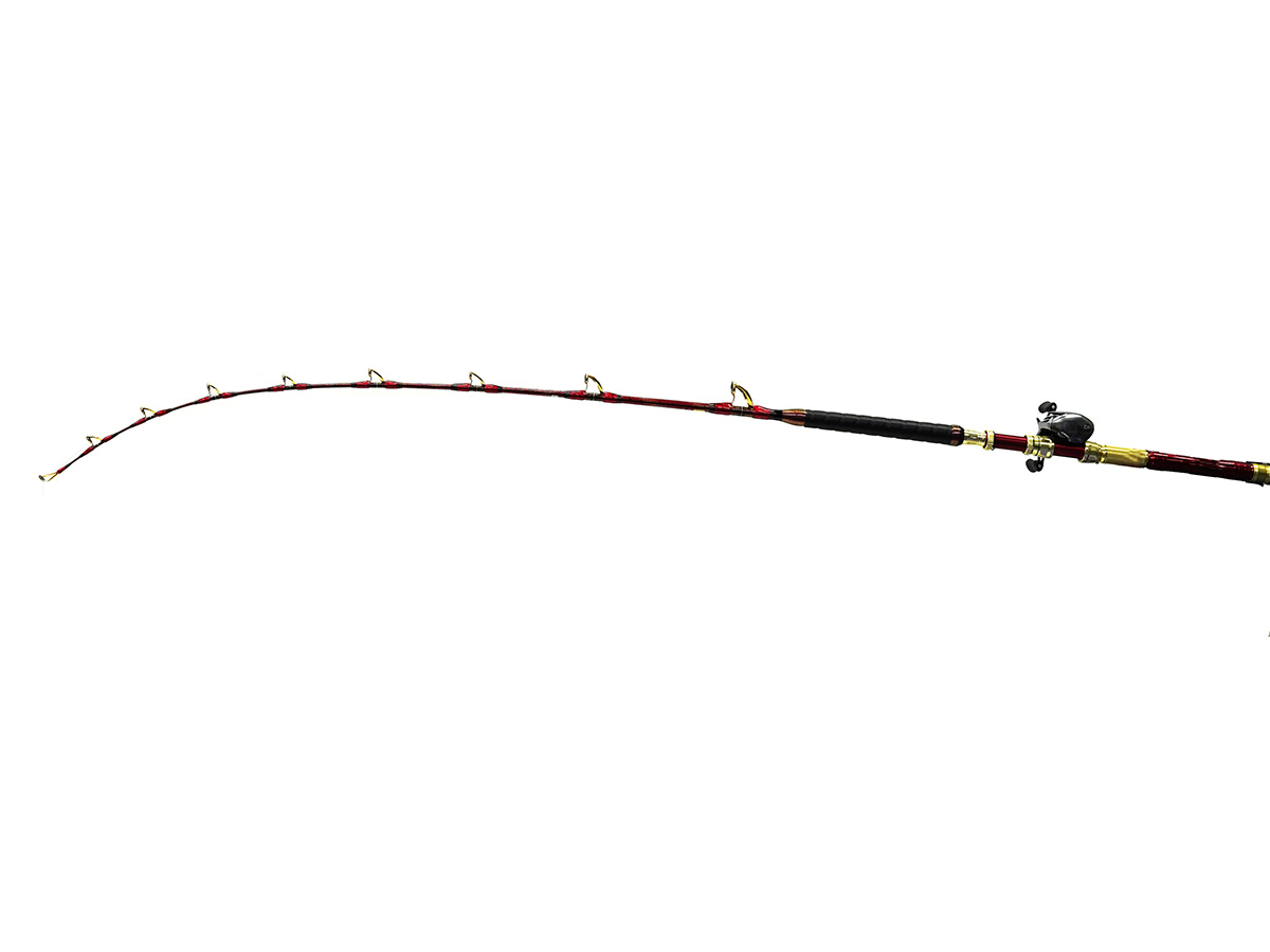 Daiwa泳がせ240Livebait Special ダイワ 泳がせ240 アドバイザー パワーメッシュ ライブベイト