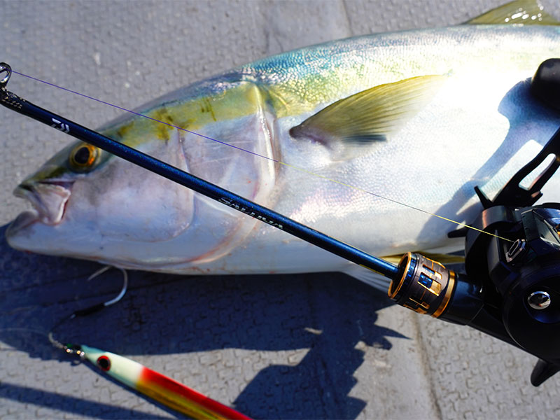 ソルティガMLB 2026 Louisville Slugger Supra™ Starship (-10) 2 ¾” USSSA