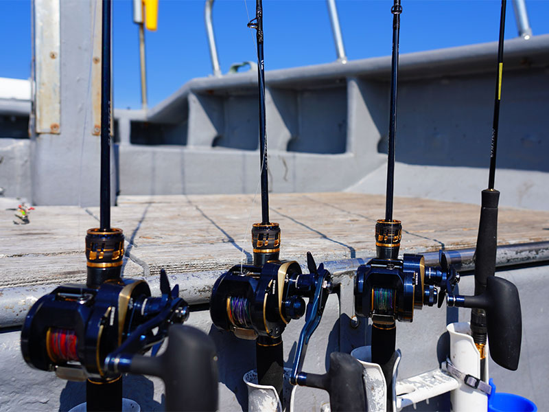 ソルティガ LJ EX(ロッド)｜DAIWA