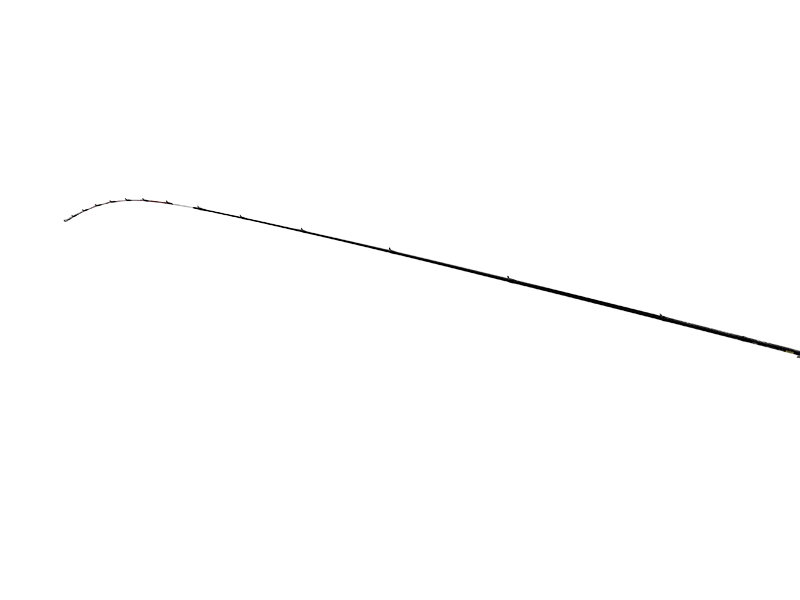 極鋭湾フグ EX(ロッド)｜DAIWA