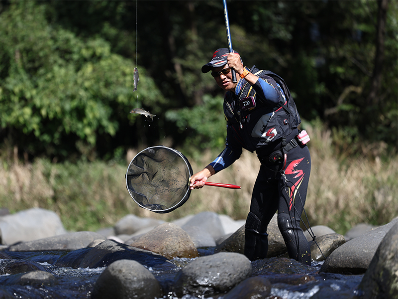 銀影競技スペシャル TYPE S(ロッド)｜DAIWA