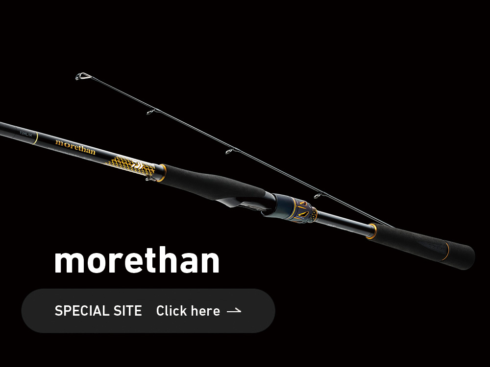 モアザン　モバイル　70L-3 AGS仕様 モアザン(ロッド)｜DAIWA