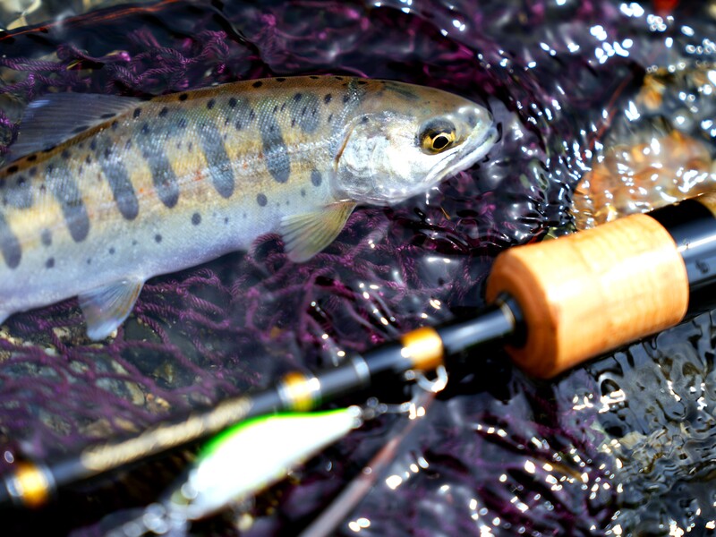 DAIWA　シルバークリーク632ulr Amazon.co.jp: Daiwa ダイワ Silver Creek シルバークリークS