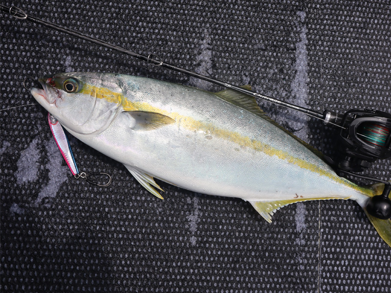 アウトレイジ XV LJ(ロッド)｜DAIWA