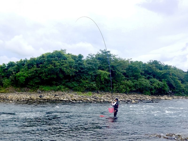 銀影エア T(ロッド)｜DAIWA