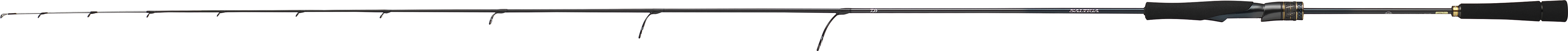 ソルティガ SLJ EX(ロッド)｜DAIWA
