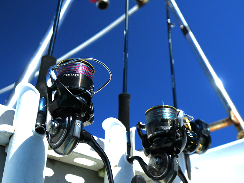 ソルティガ SLJ EX(ロッド)｜DAIWA